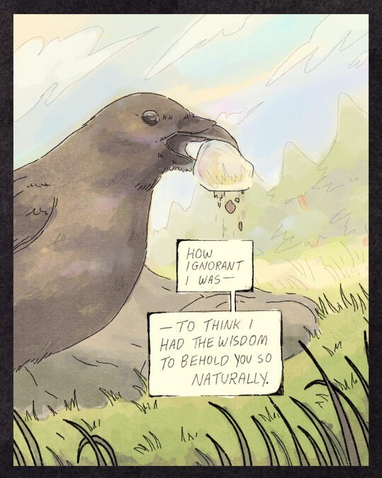 Bird Comic 3